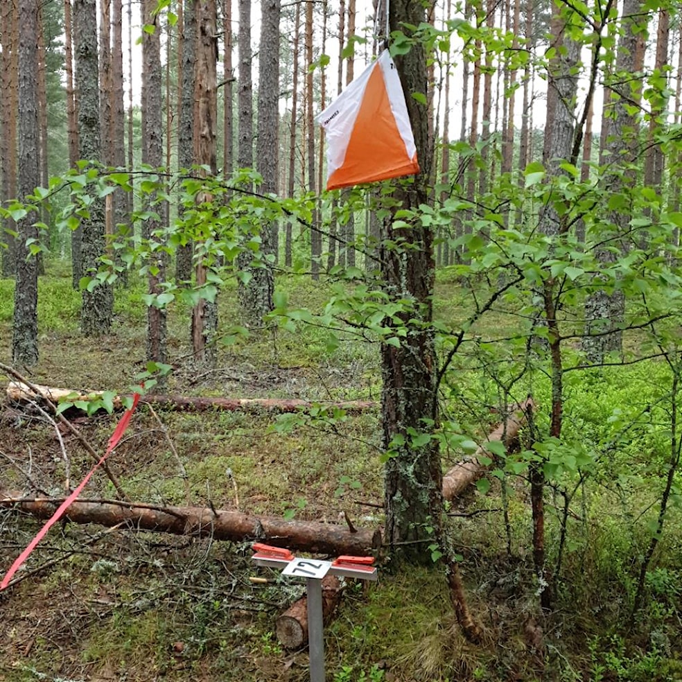 Allidrett - Sykkel orientering